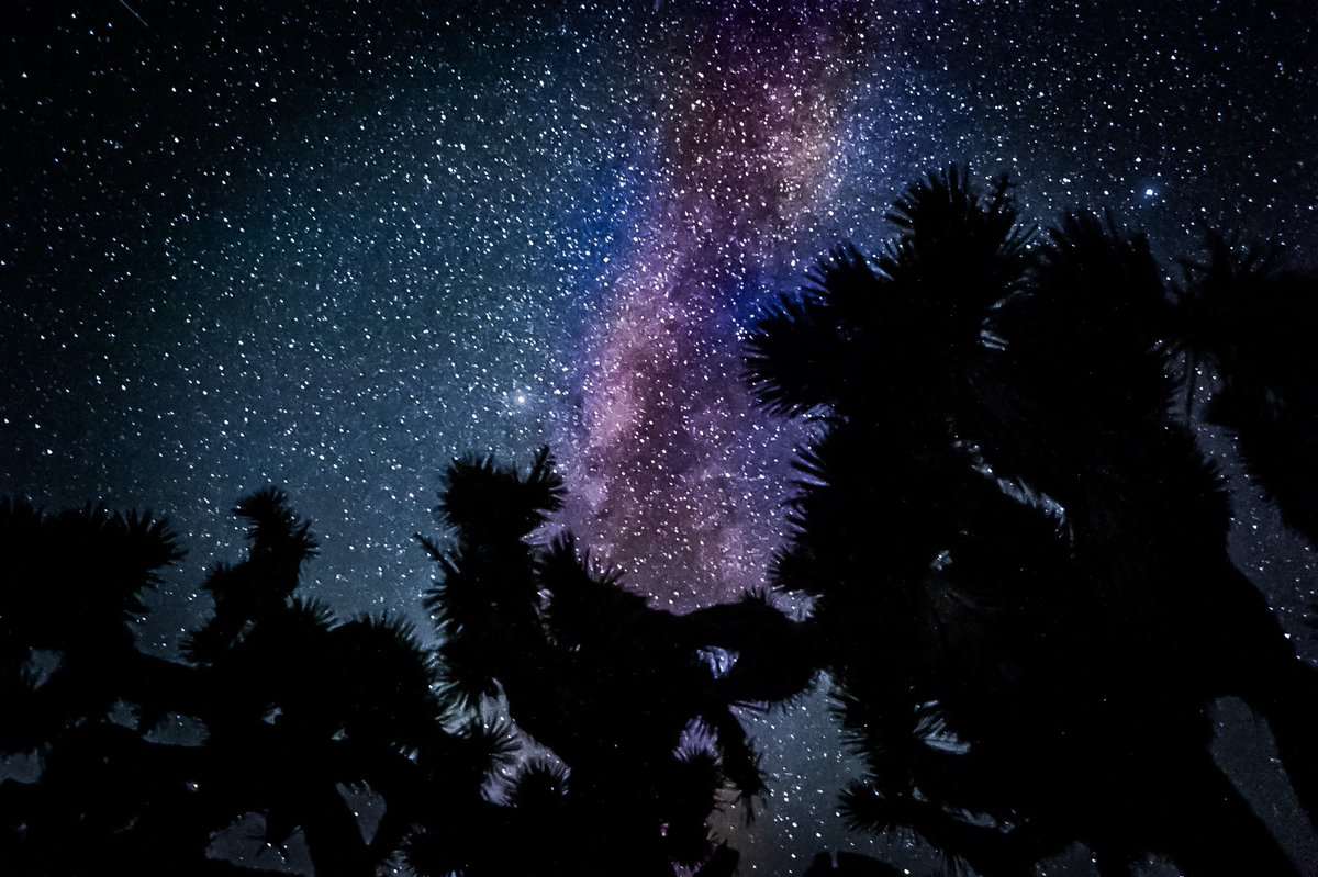 rich_olsen's tweet photo. Go out and do amazing things!  Camped in the desert last night with my brother and did some photography.  A little fox tried to steal our food, so we named him swiper (I totally don’t watch Dora The Explorer with my niece while on vacation I swear! Lol). #camping #mojavedesert https://t.co/1lriltfcK2