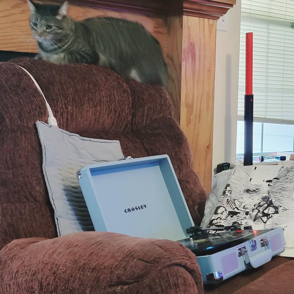 sollette_doucet's tweet photo. I've named the record player "The Marauder" and Freddie Meowcury approves. https://t.co/Xr2fsy6CGu