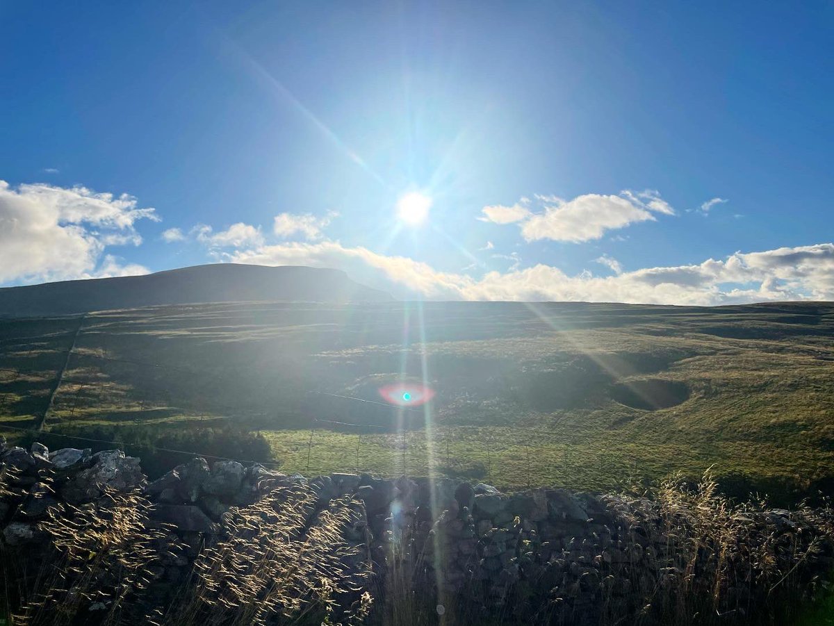 Meghann Protheroe tweet media