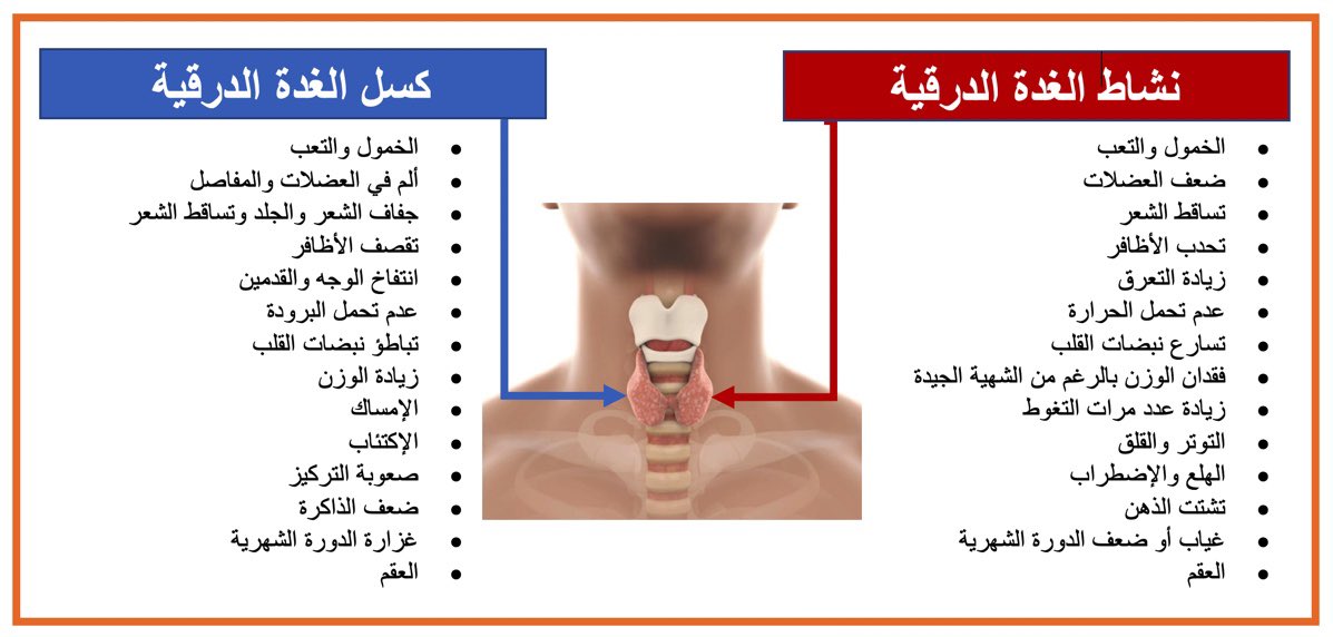 Malmehthel's tweet photo. زيادة الوزن ، جفاف الجلد ، تساقط الشعر ، الإكتئاب ، صعوبة التركيز قد تكون مؤشر على الإصابة باضطراب في الغدة الدرقية. هل تعلم ماهي أعراض إضطرابات الغدة الدرقية؟ 👇🏻 https://t.co/S2nRHdbhWs