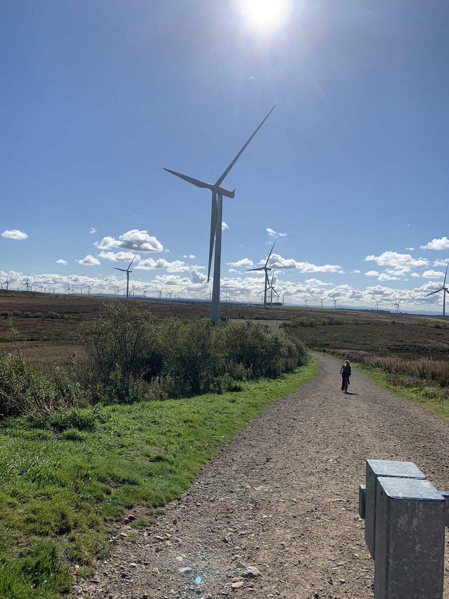 A sunny Saturday stroll at Whitelees wind farm today. ☀️ #renewables