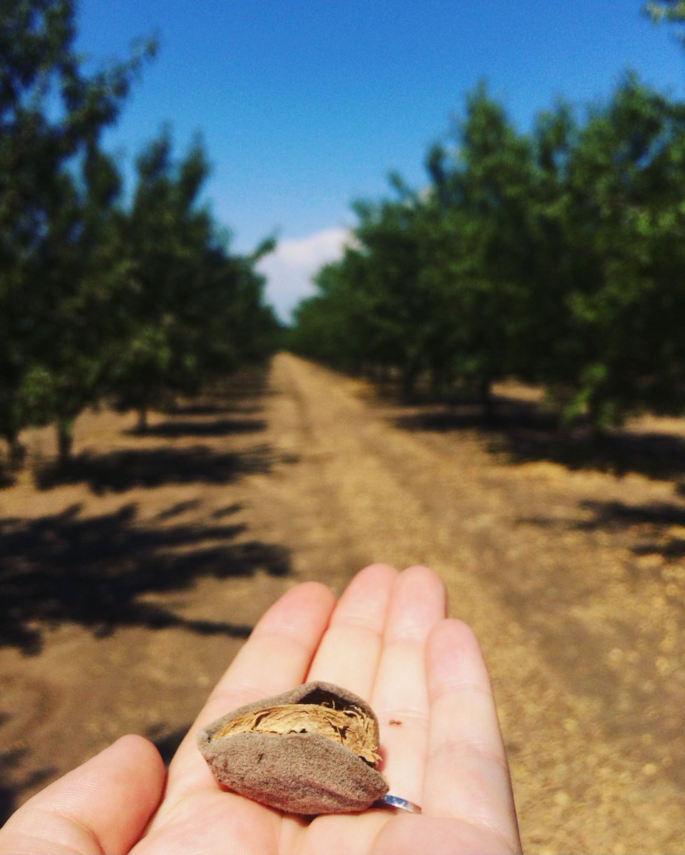 FarmTrail's tweet photo. Get on the trail! One more week until the Farm &amp; Wine Pass activation window opens! #TourTasteToast at 31 #ButteCounty farms and wineries. 
Get your pass >> https://t.co/oNQJ2dpBJx https://t.co/0lO7G1BKtN