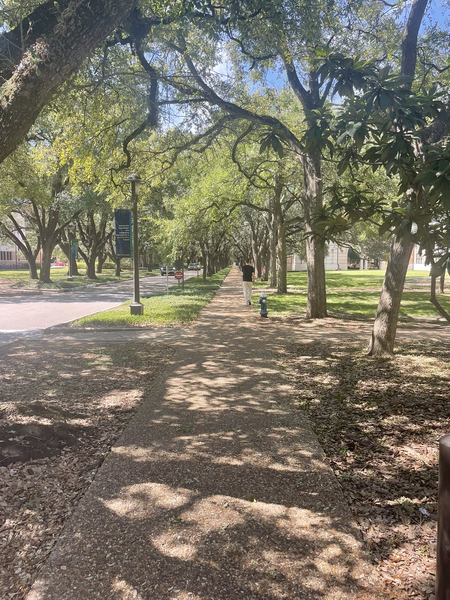 Matthew Bowie tweet media