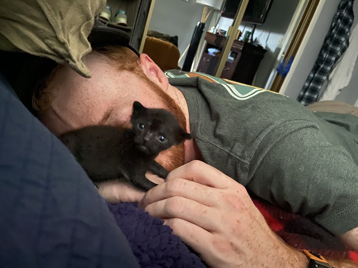 karrwreck's tweet photo. Found an abandoned kitten on our property on Aug 19 (underweight, umbilical cord attached 😭) and we have been bottle feeding him around the clock since. Didn’t know if he would make it. Lil man is now 5 weeks and just pooped in the litter box 🥲 I’m emotional, enjoy some pics https://t.co/0oncI7ES1v