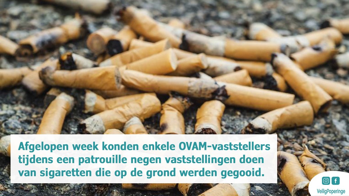 Stad Poperinge tweet media