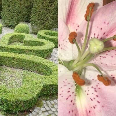 ¡no juzguen mi outfit, por favor! TT es que #𝚖y𝚜weet𖥧𖤣𝑙𝑢𝑙𝑙𝑎𝑏𝑦 comienza hoy en el #일곱𝚜ecret𝚜ฅ·𝐜𝚋 y yo quería venir bonita como una #𝚑armony𔘓𝚍olls, pero acorde a la temática, ¿si me salió? digan que sí o me desaparezco por 100 años más. 

𝚐yaru! - ^ㅁ^ - #𝑚elo