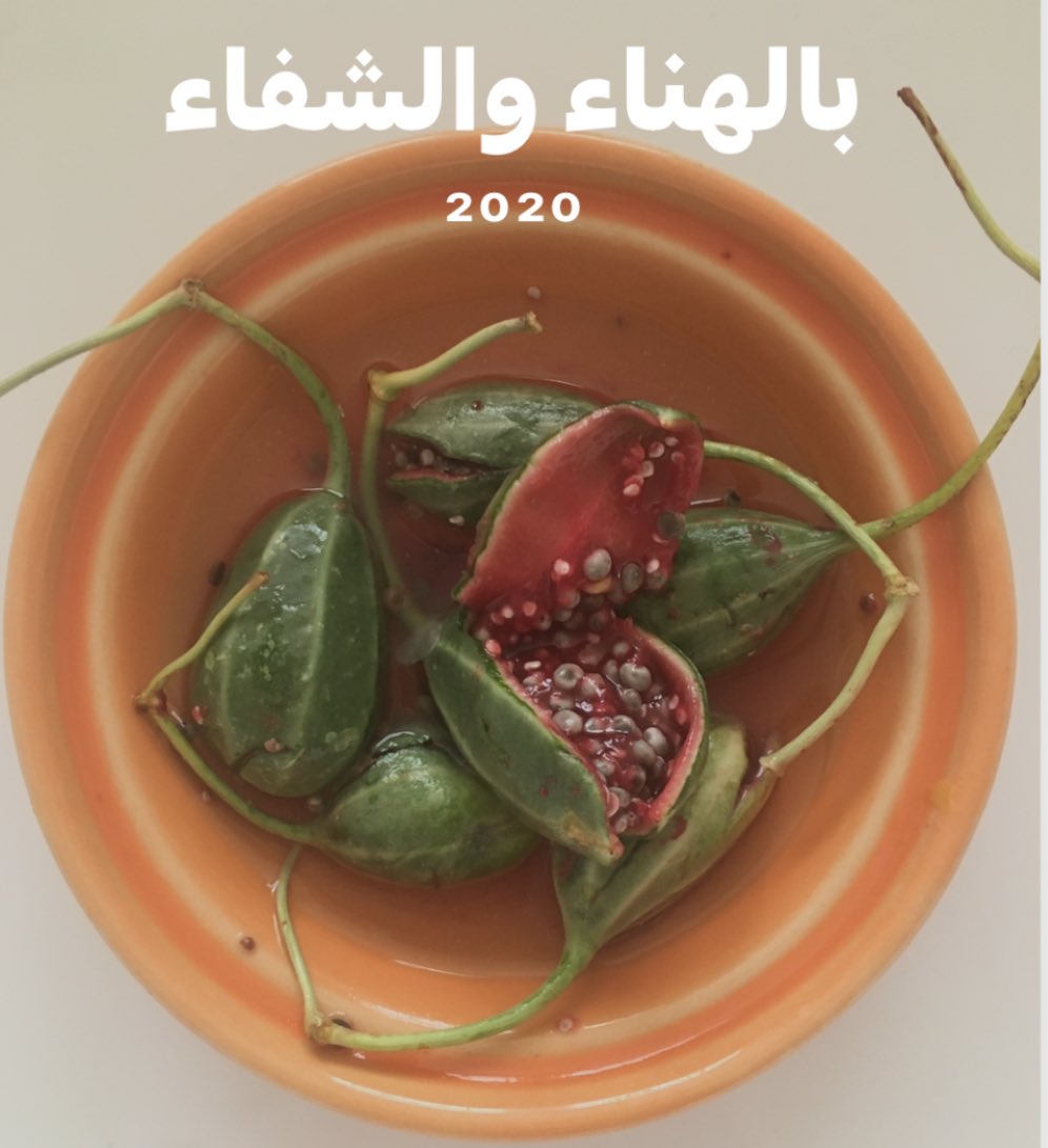 #تشجير_قطر tweet media