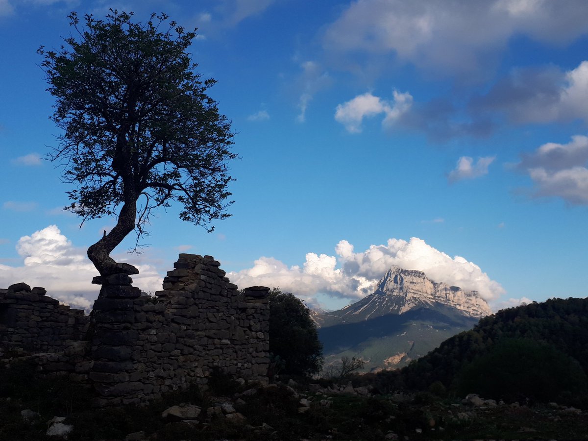 LaMasMoreno's tweet photo. En Gallisué hace más de 40 años que nadie dirige su mirada hacia la Peña Montañesa.

#ValleDeVió #Ballibió
#Sobrarbe
#Despoblados https://t.co/ZoosumQ3vZ