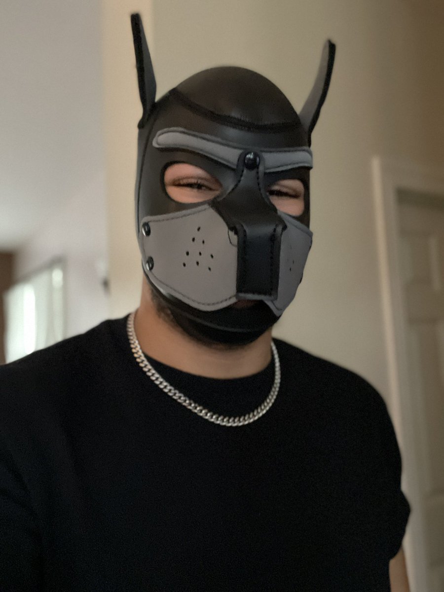 littlemoopup's tweet photo. my first #musclepup photos from when i got my hood… i feel handsome~ #moopup https://t.co/vwmVMuMJzZ