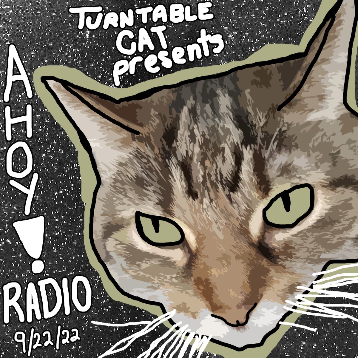 TurntableCat's tweet photo. https://t.co/zaBghrdugE https://t.co/y83XoAJ9Z5