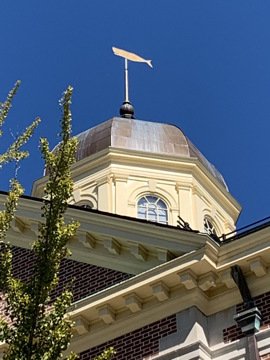 We’re in New Bedford today.  The old whaling seaport.  It’s nice here.  Probably the nicest place we’ve been to in Massachusetts.  #gsd #GermanShepherd #NewBedford #Massachusetts