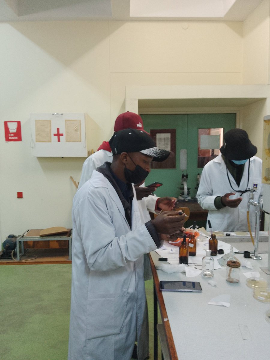 WashingtonMuto3's tweet photo. Scientific research 
On my way to success https://t.co/M8a4pQqiFJ