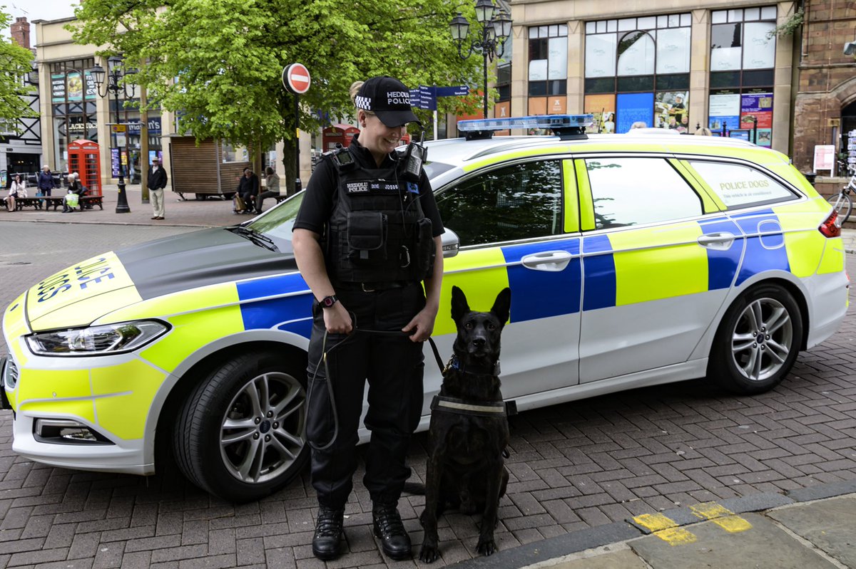 KW, PD Flo, PD Bryn & RPD Bart 🐾 tweet media