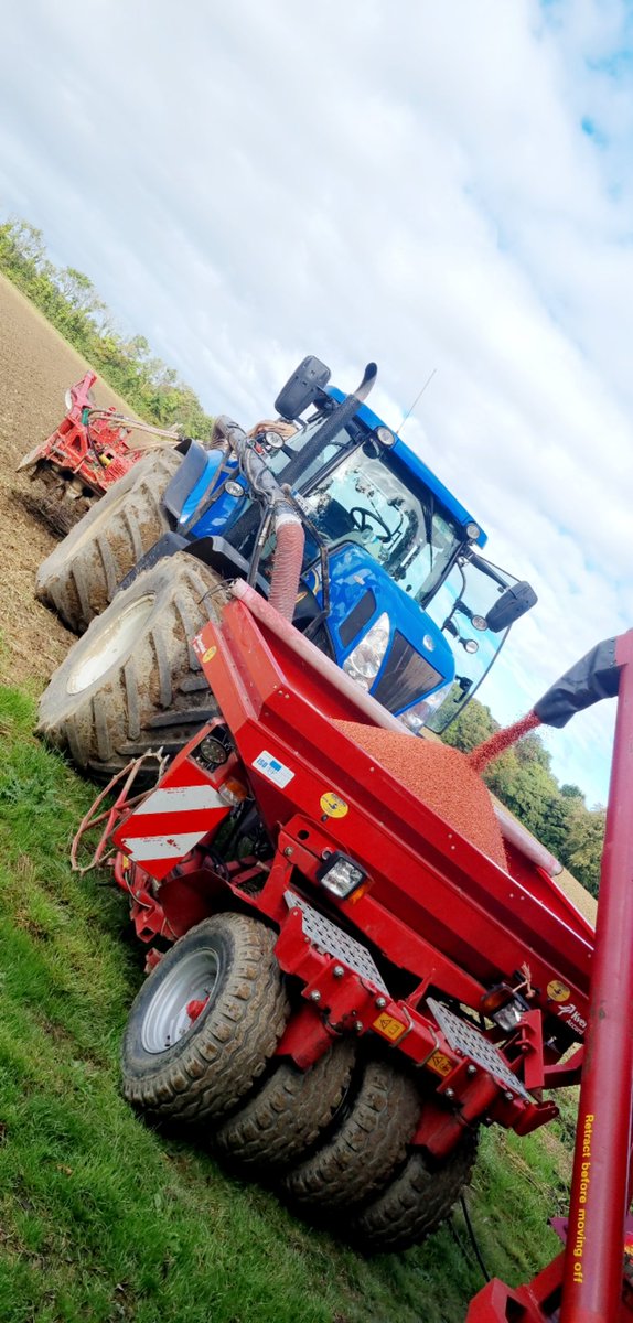 W.Wheat going in after oats😎
#whytebros