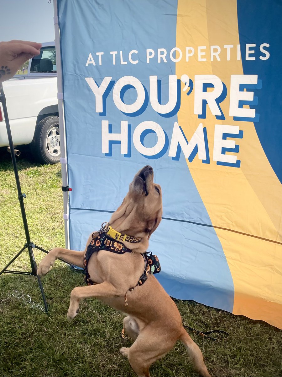 TLC Properties tweet media