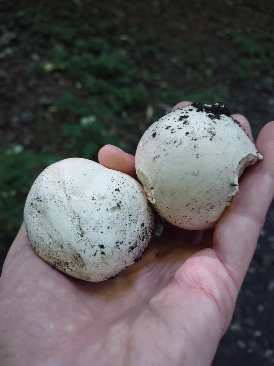 Jess Fink🌈🔥🍉 tweet media