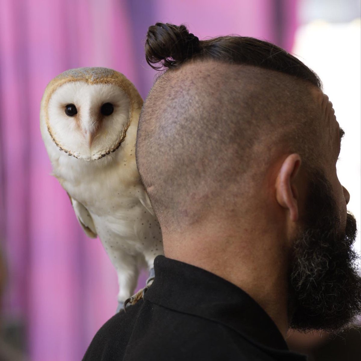 katieholten's tweet photo. Delighted to see the Bog Cafe in Ardee buzzing with inspiring people, plants &amp; peatland magic. Even a beautiful barn owl joined the celebrations. Tomorrow is the last day to catch the Bog Cafe. INFO: https://t.co/SGo6jtSeTd #peatlandsmatter #rightsofnature #savethebogs https://t.co/kmTK3mZSg5