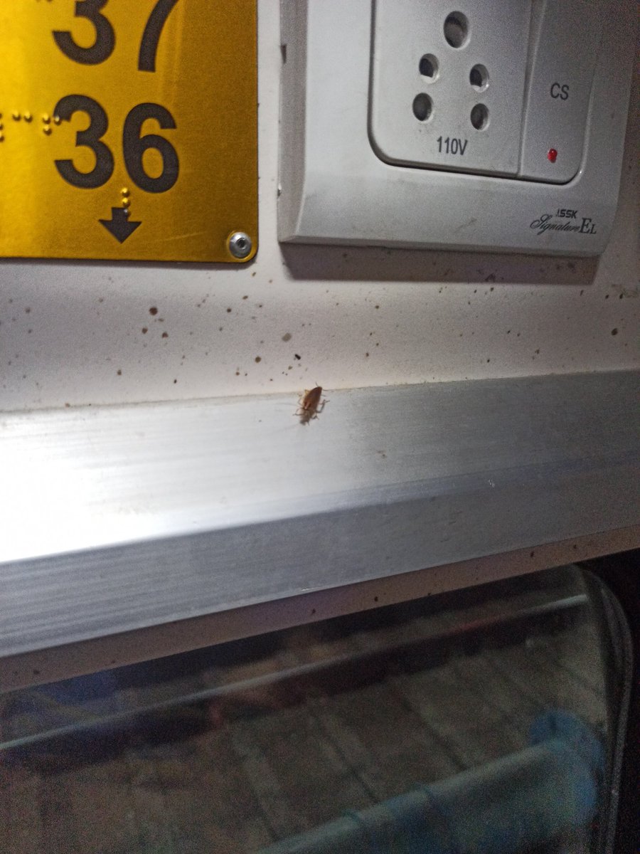 ananddeepsingh1's tweet image. Very bad experience duranto 12213 , very bad no cleanliness, many cockroach