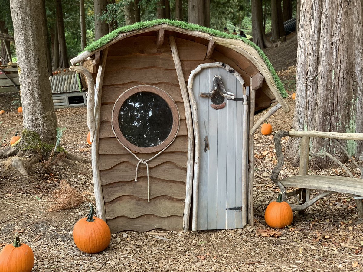 brianchow's tweet photo. Coastal Black Pumpkin Fest #coastalblack #pumpkins https://t.co/NMBTA4juDD