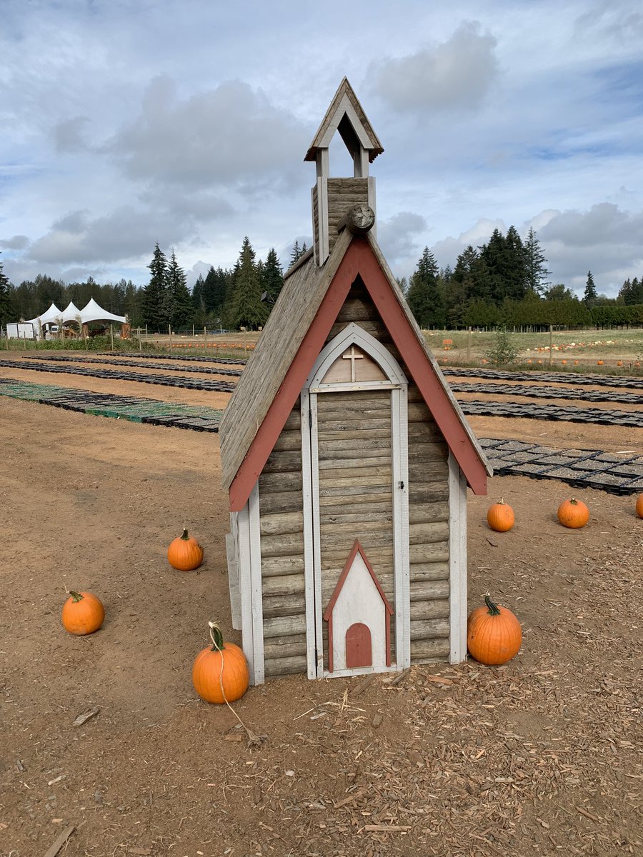 brianchow's tweet photo. Coastal Black Pumpkin Fest #coastalblack #pumpkins https://t.co/NMBTA4juDD