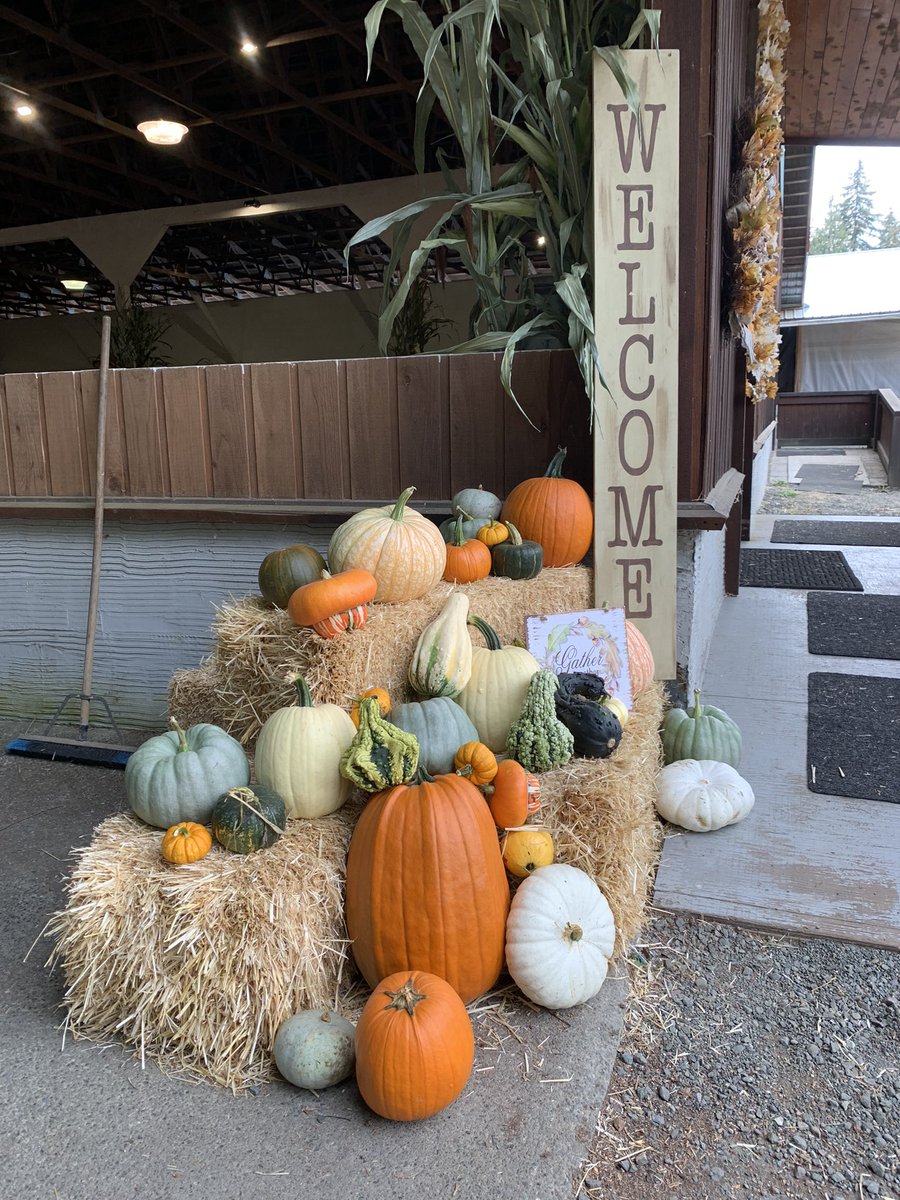 brianchow's tweet photo. Coastal Black Pumpkin Fest #coastalblack #pumpkins https://t.co/NMBTA4juDD
