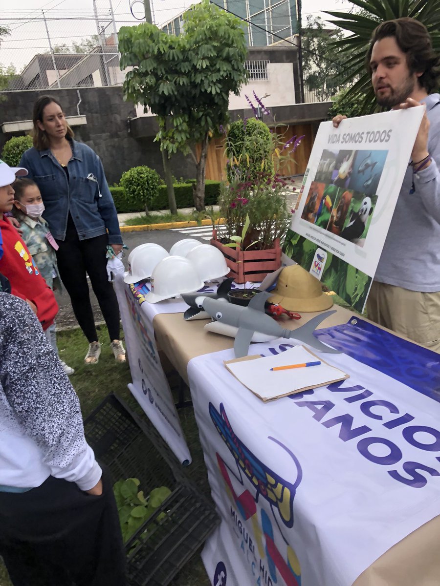 aolavarrieta's tweet photo. Gracias @AlcaldiaMHmx @saburtomh @MartinOlavarri8 @PaulinaBueno1 @mauriciotabe por hacer posible ésta actividad de reverdecer nuestra colonia, en beneficio de todos sus habitantes y del planeta.#reverdece #reverdecemh 🌳🌿🌎 https://t.co/ClAtTCwhCo