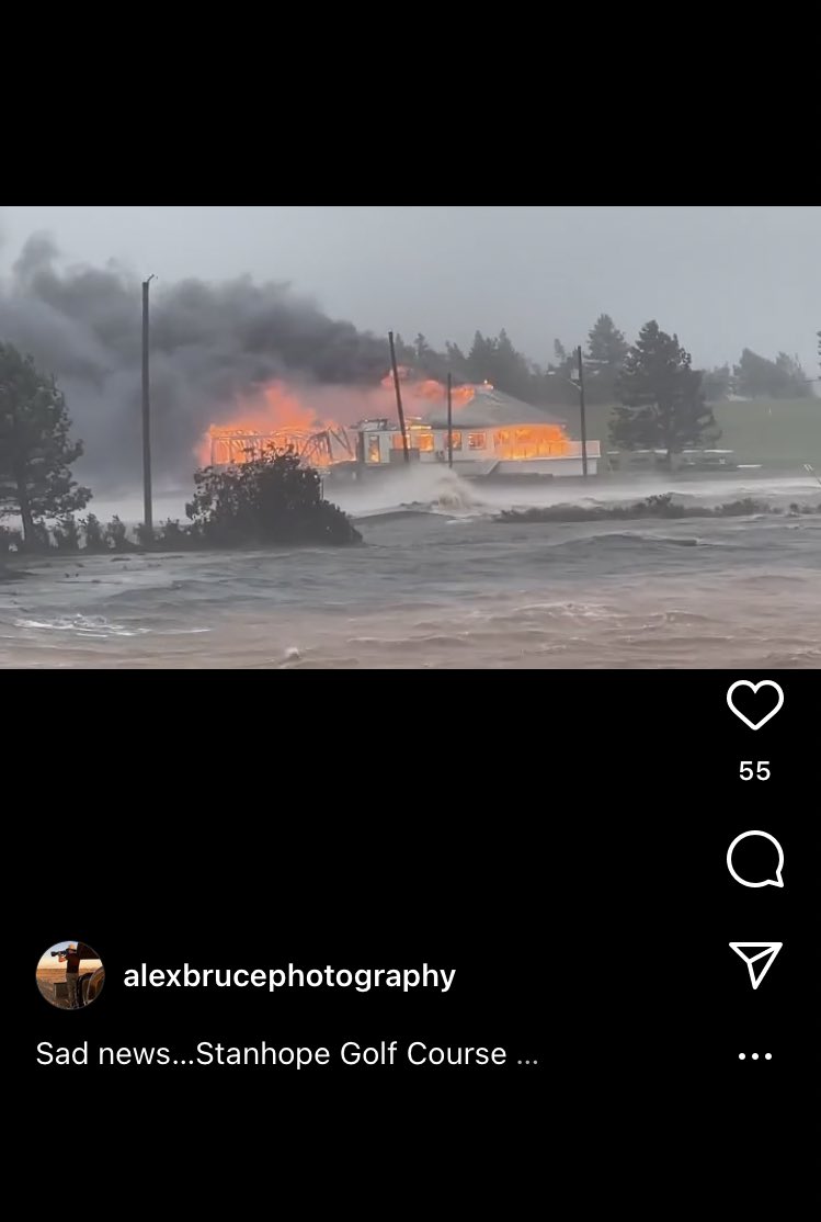 Morgan Bell tweet media