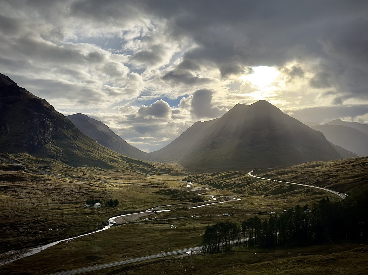 David Smith tweet media