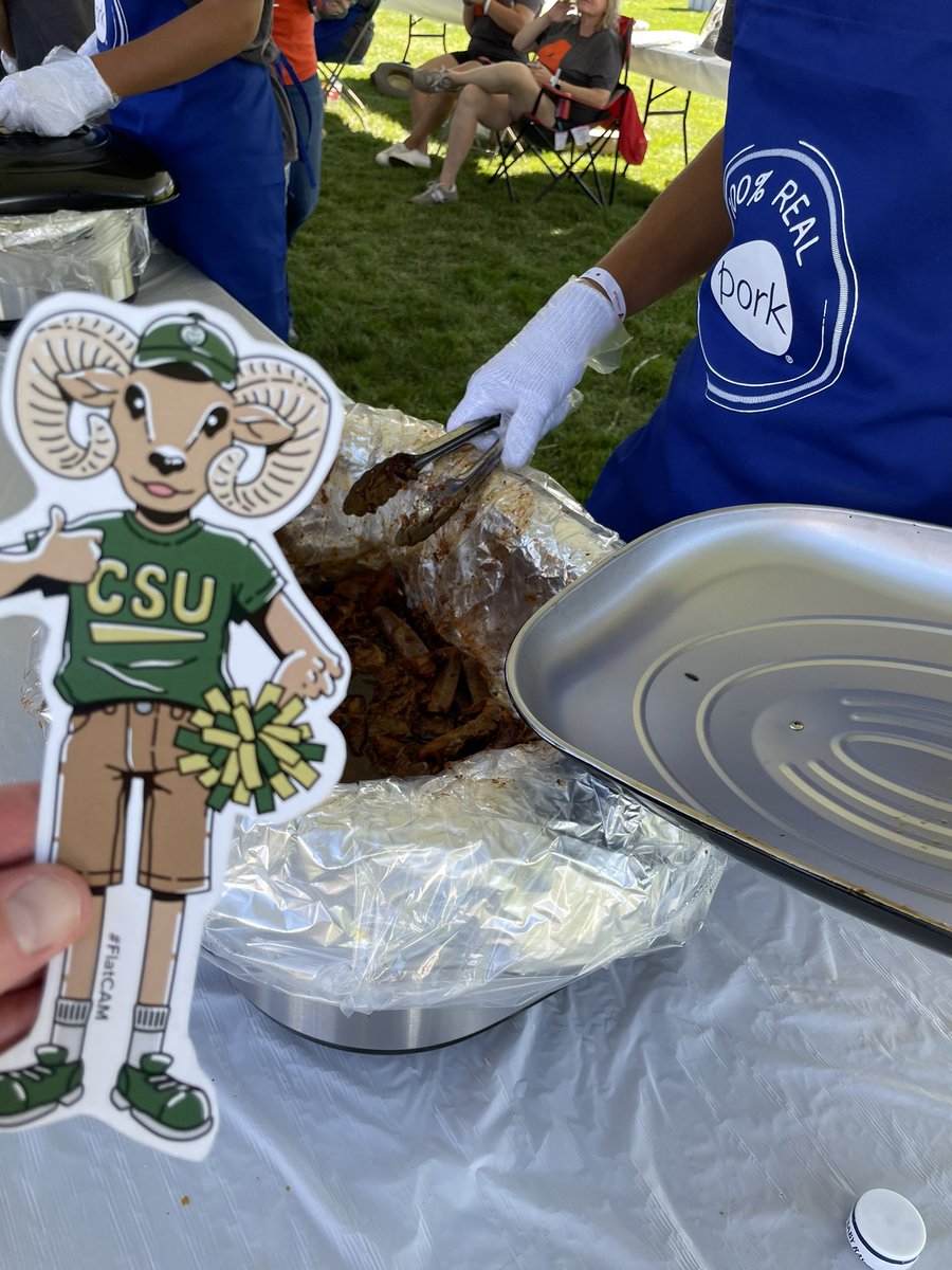 CSUAlumni's tweet photo. #FlatCAM loves Ag Day! ๐ https://t.co/ugvBMCsbBx