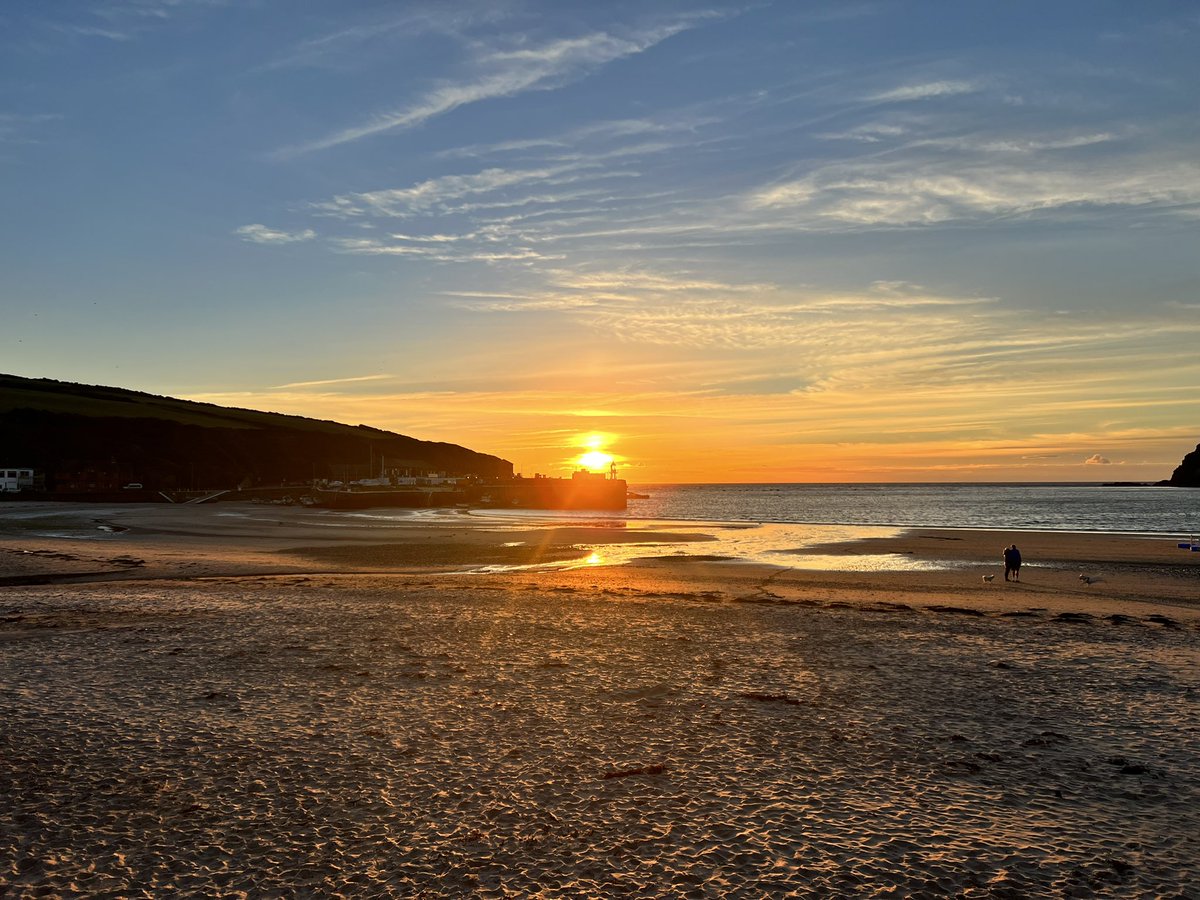 CyBearNinja tweet media