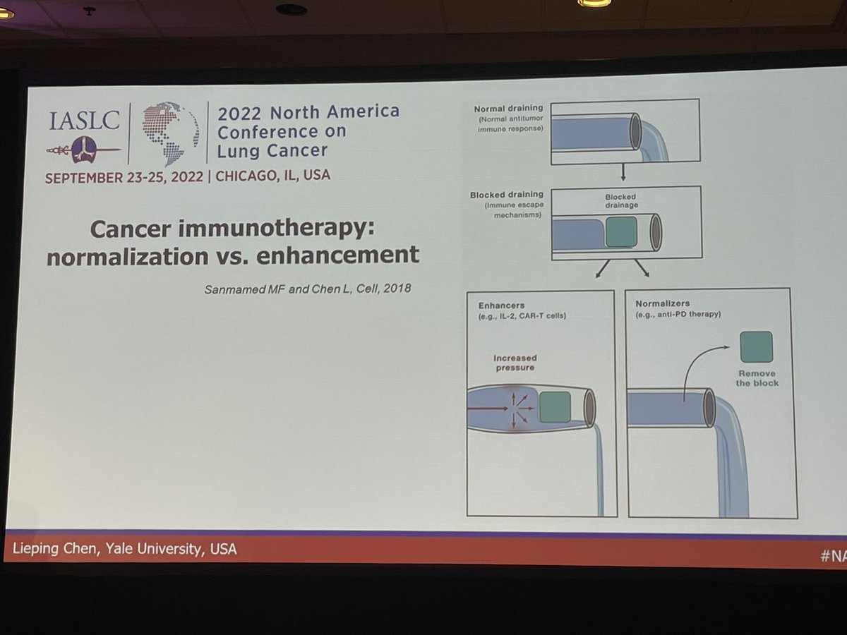 A great graphic on immunotherapy normalization vs. enhancement by Dr. Lieping Chen @YaleCancer @YaleThoracic @IASLC #NACLC22 #LCSM