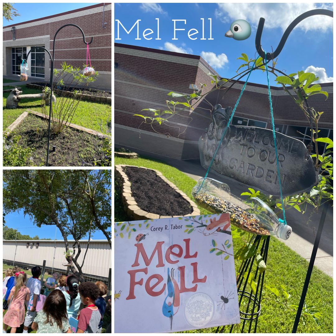 Sweet kinder curiosity is the best. We read Mel Fell, talked about doing hard things, fine motor skills with our bird seed, outside to see birds. 🐦❤️📚 <a href="/SampsonElem/">Sampson Elementary</a> <a href="/CyFairLibraries/">CyFairLibraries</a> <a href="/CyFairEdTech/">CyFair ISD EdTech</a> #sampsonstrong
