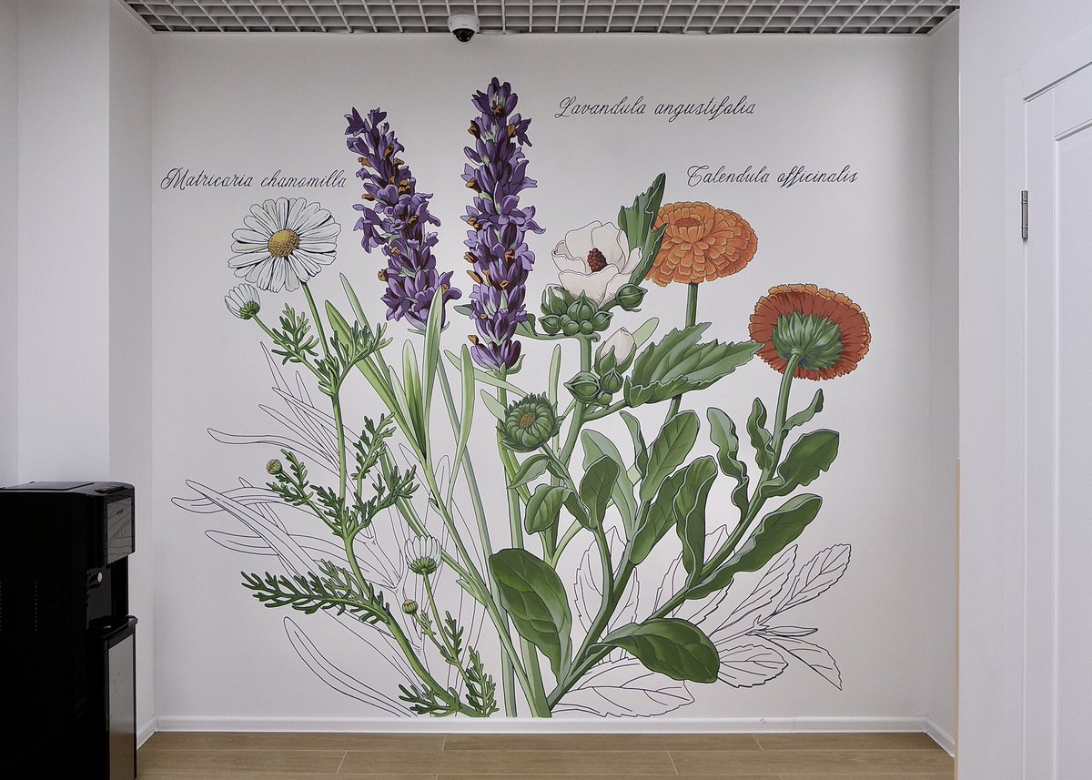 annachilina's tweet photo. Commissioned mural for anti-aging clinic laboratory.
This botanical piece is done with non-toxic acrylic paint and my favourite #molotow markers https://t.co/VmArghG3g5