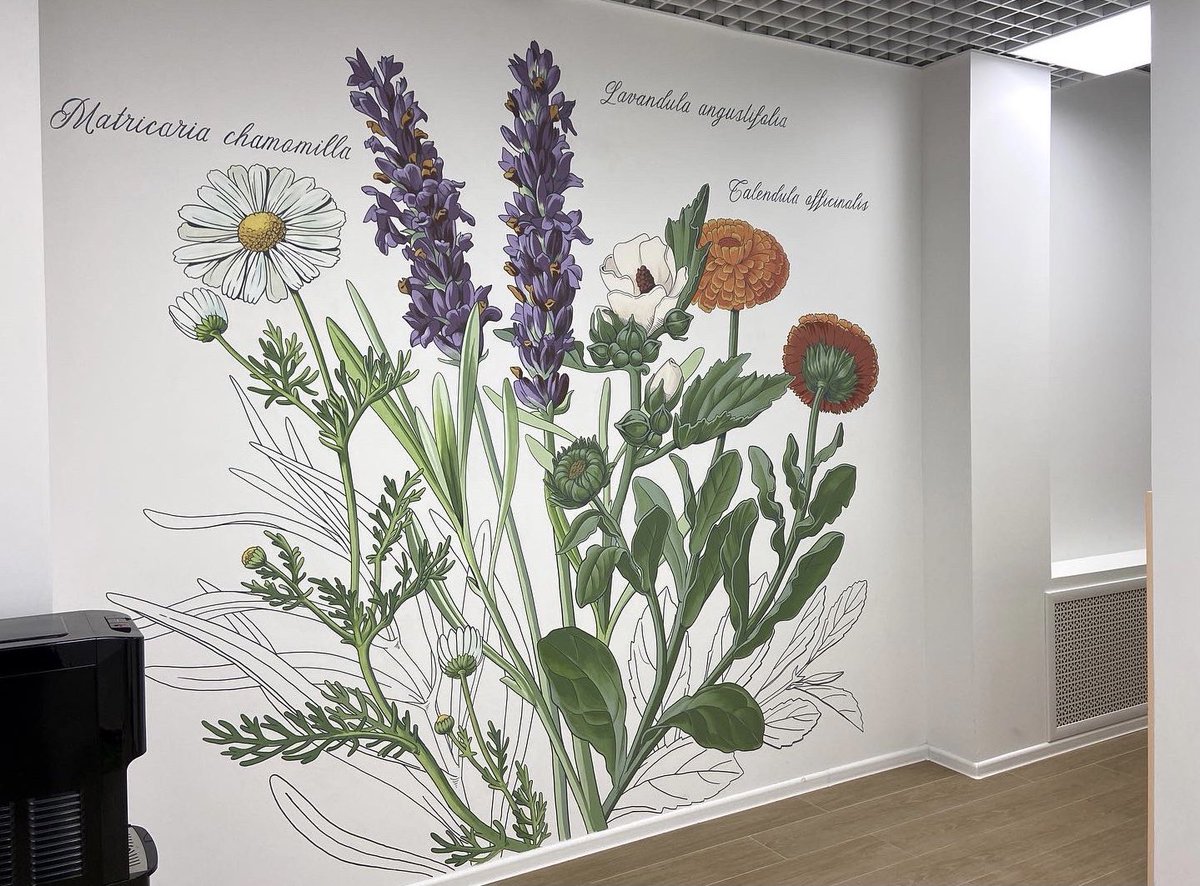 annachilina's tweet photo. Commissioned mural for anti-aging clinic laboratory.
This botanical piece is done with non-toxic acrylic paint and my favourite #molotow markers https://t.co/VmArghG3g5