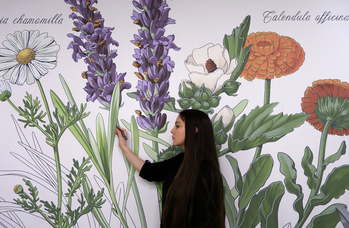 annachilina's tweet photo. Commissioned mural for anti-aging clinic laboratory.
This botanical piece is done with non-toxic acrylic paint and my favourite #molotow markers https://t.co/VmArghG3g5