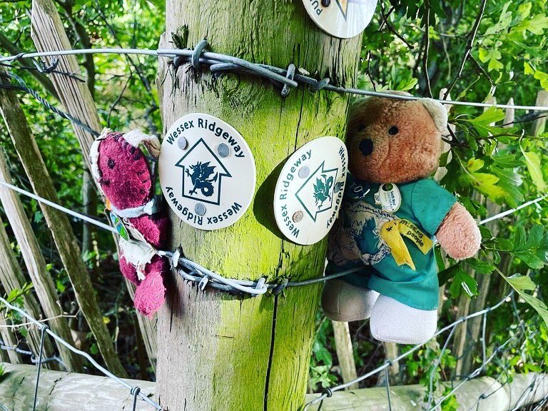 West lavington to Westbury - the bears had a great day despite appearances #gjwalks #wessexridgeway #day4 #nbtheros