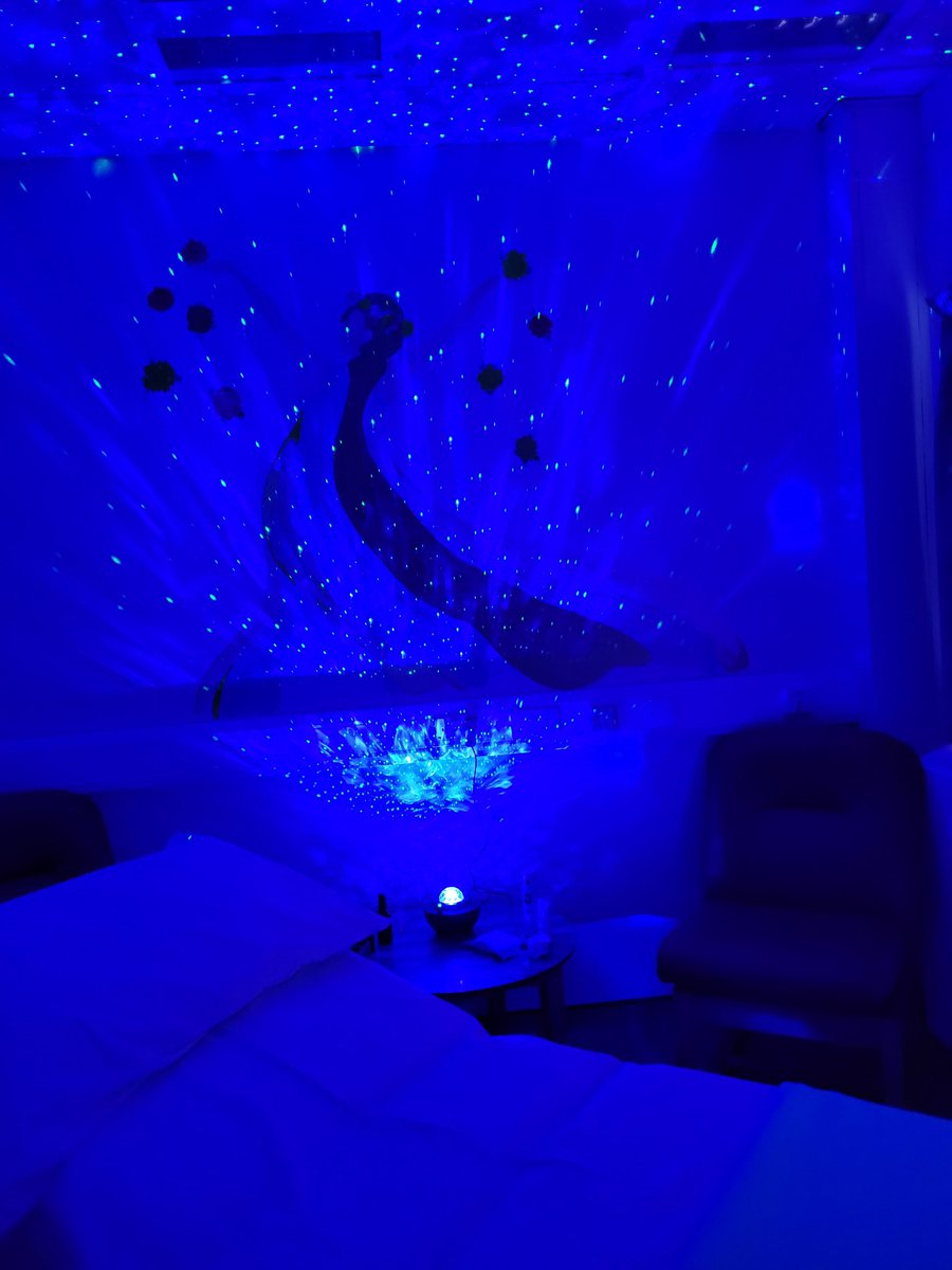 Sharon Corr tweet media