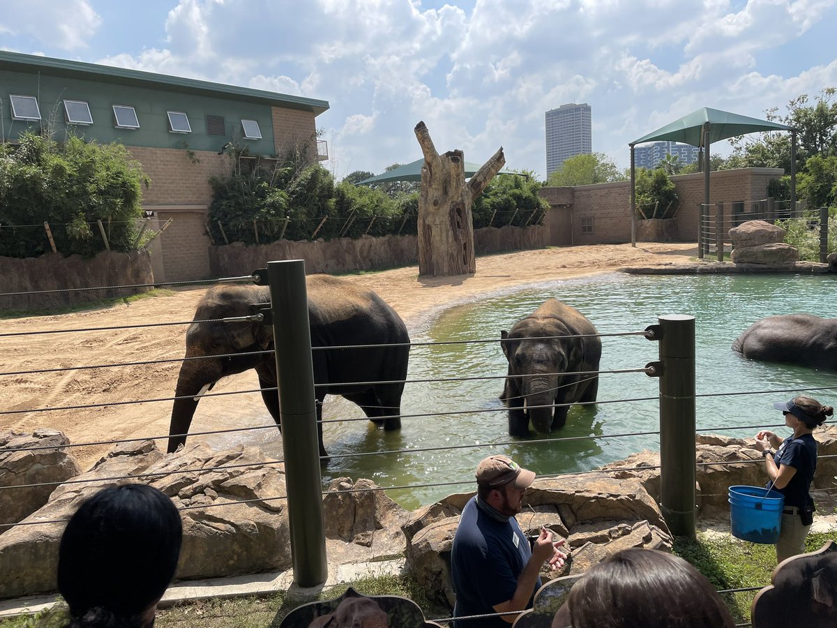 Buck Samuel tweet media