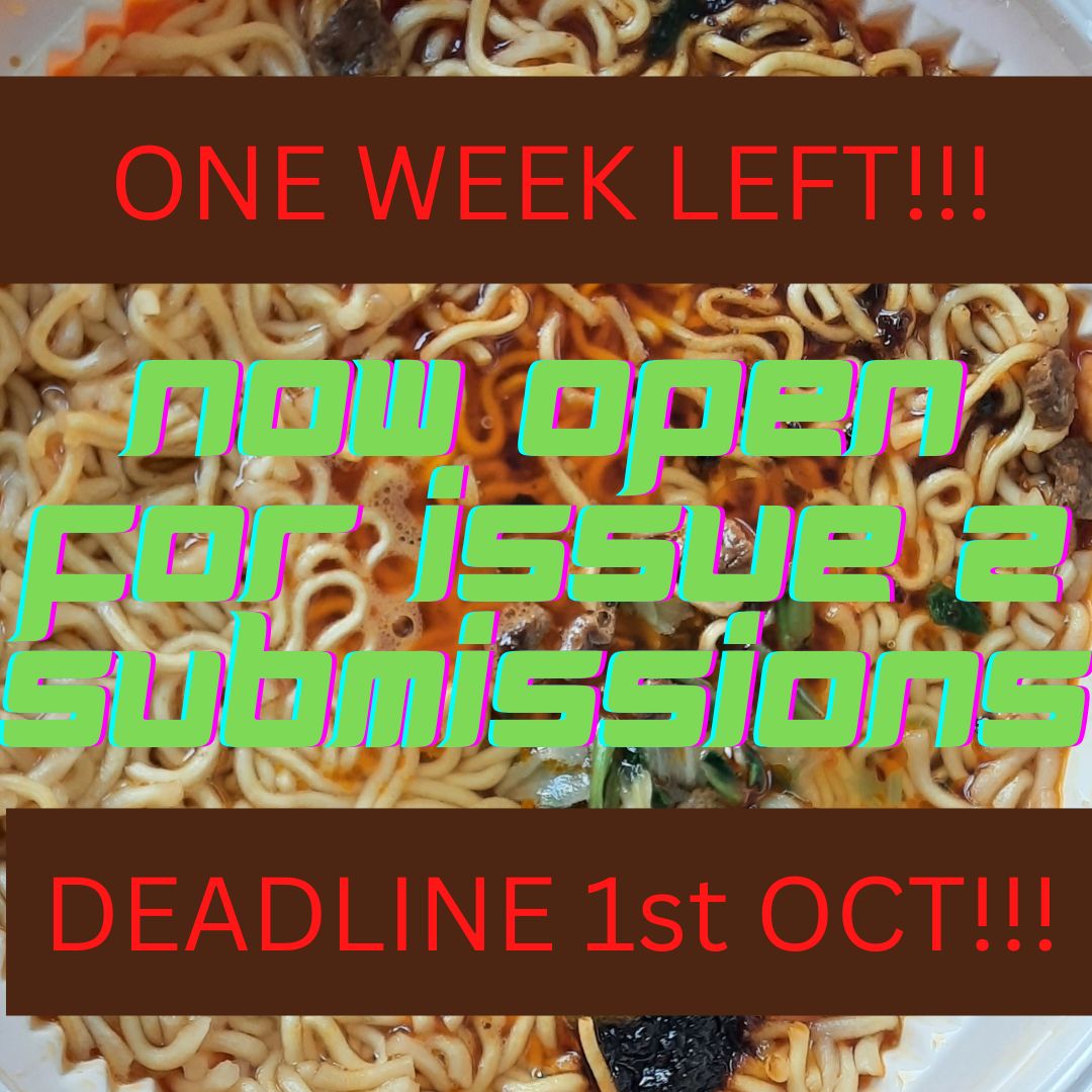 The Instant Noodle Literary Review (SUBS CLOSED) tweet media