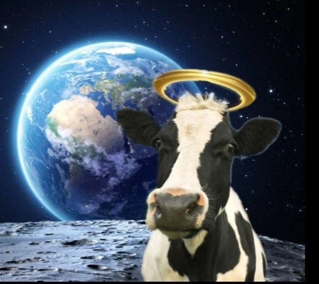 Gretchdern3's tweet photo. @realmadriden @raphaelvarane @realmadrid Holy cow that’s outta this world https://t.co/7Wz5u9nBYS