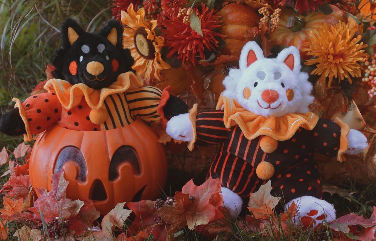 Lizard_Bitt's tweet photo. 🎃 THEY’RE HERE 🎶 
-
The mischief twins, Trick &amp; Treat have arrived! These two will be available for preorder starting NEXT FRIDAY, September 30th. More information on when shops reopen will be posted early next week, so keep an eye out 🍂
- https://t.co/wNvWIMcpYC