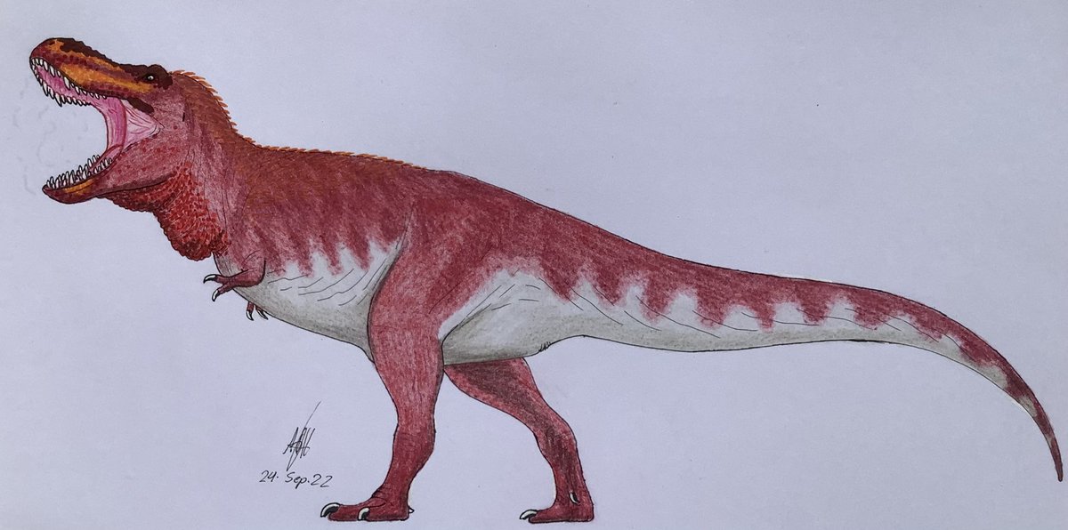 Behold! The ultimate predator! The terror of Hell Creek! The tyrant lizard! The King of the dinosaurs!
And also my favorite dinosaur!

The one and only… Tyrannosaurus rex!

#drawing #paleoart #Tyrannosaurus #tyrannosauridae #tyrannosaurinae #dinosaur