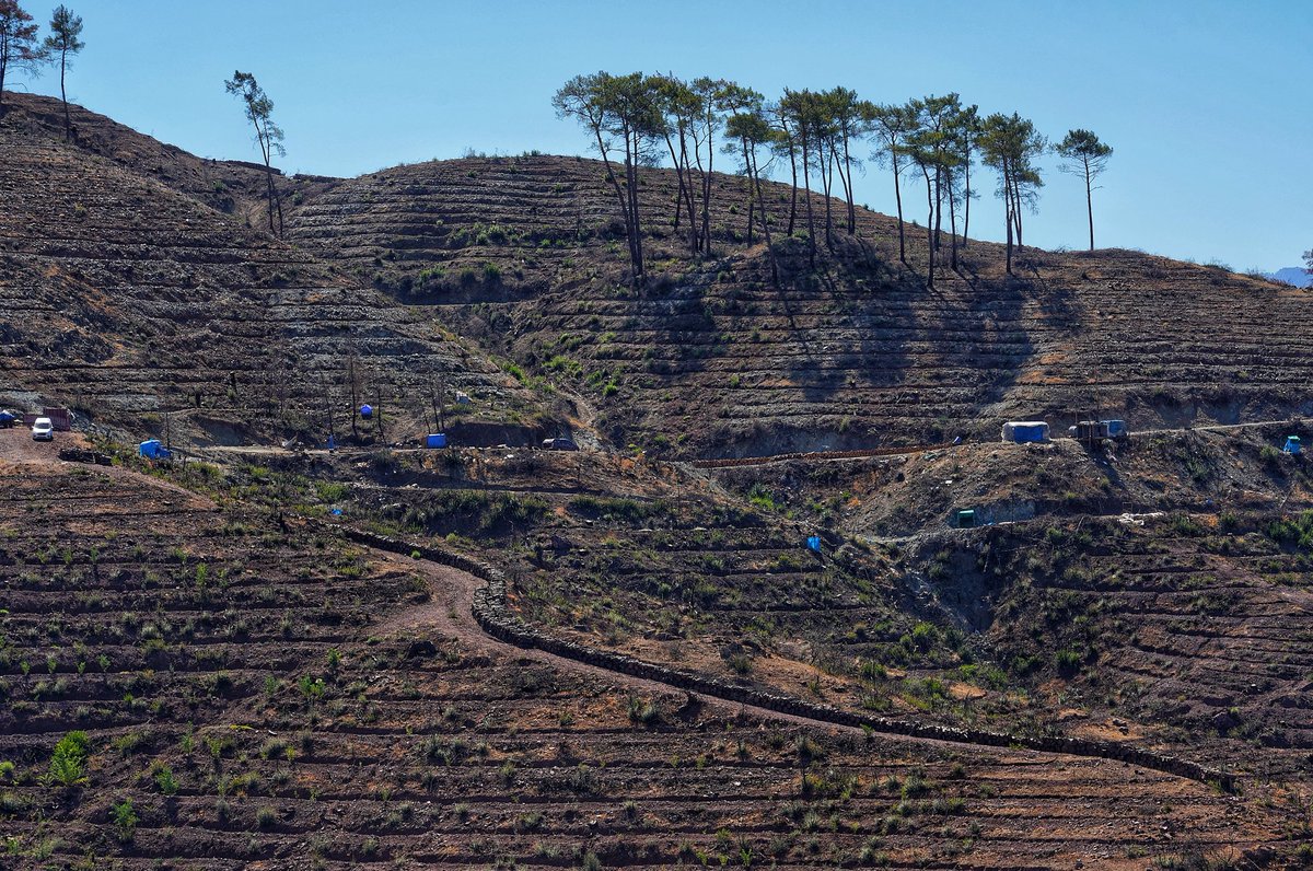 Yangın Sonu #AlarkoCarrierKüreselİklim2022 
<a href="/alarko_carrier/">Alarko Carrier</a>