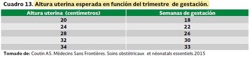 #ParaElPase 🩺
Altura uterina esperada por SDG 🤰