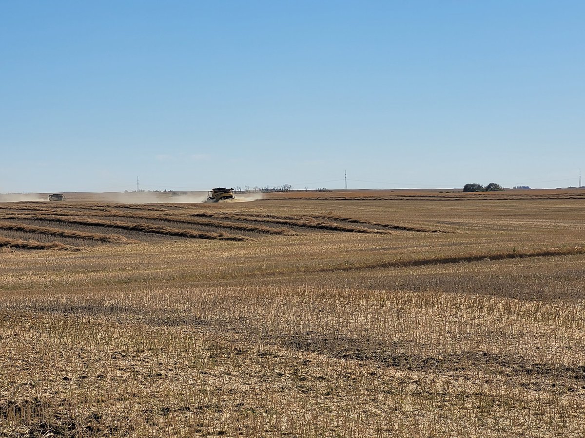 It's good to have some dust flying after having a 5 day rain delay