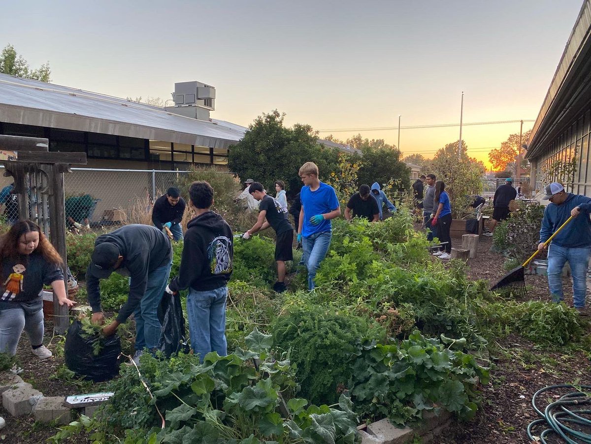 TUSDFarm's tweet photo. Thank you to the Pitman &amp; Turlock FFA members that went out to Julien garden this morning to help clean it up and prep for fall plantings!! https://t.co/eF7YweUp1S