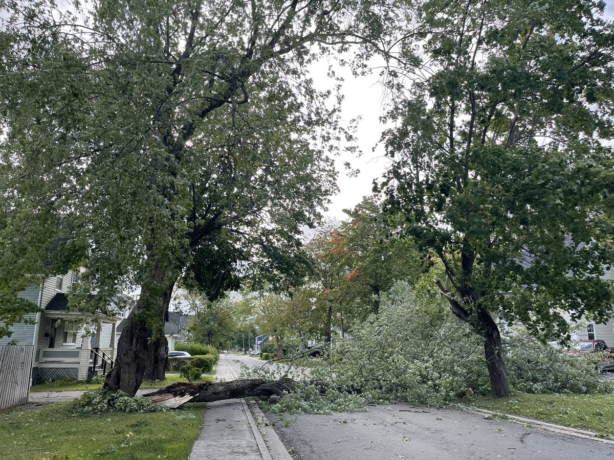 Two trees down in Townsite. Newfoundland Power and City crews are on site.

Things are picking up, folks. Please cautious when out and about. If you see an issue please call 637-1666!

cornerbrook.com/fiona