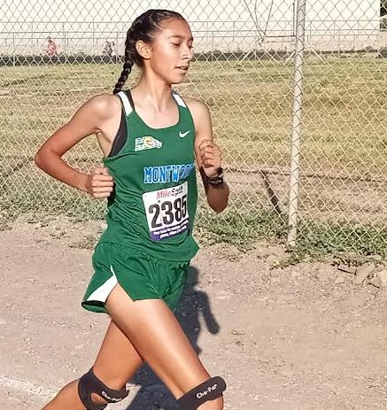 El Paso Running tweet media