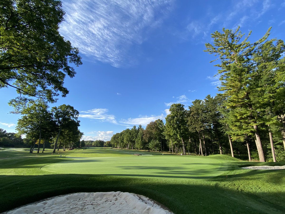 GriffithsJayson's tweet photo. The resident eagle was overseeing the Saturday morning 12th fairway irrigation install…nine holes open for play, nine holes under construction 🚧….sanding extensions again today ahead of rains ☔️ #nobrushrequired https://t.co/kUKuMiCE7N