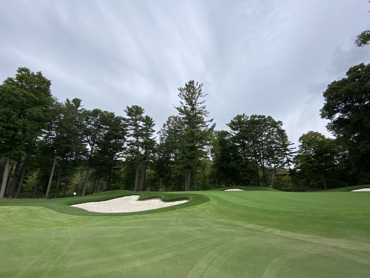 GriffithsJayson's tweet photo. The resident eagle was overseeing the Saturday morning 12th fairway irrigation install…nine holes open for play, nine holes under construction 🚧….sanding extensions again today ahead of rains ☔️ #nobrushrequired https://t.co/kUKuMiCE7N